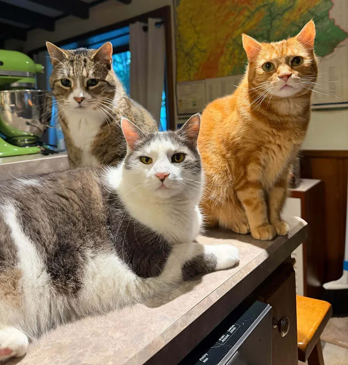 We Request Your Presence At Our Weekly Safety Meeting