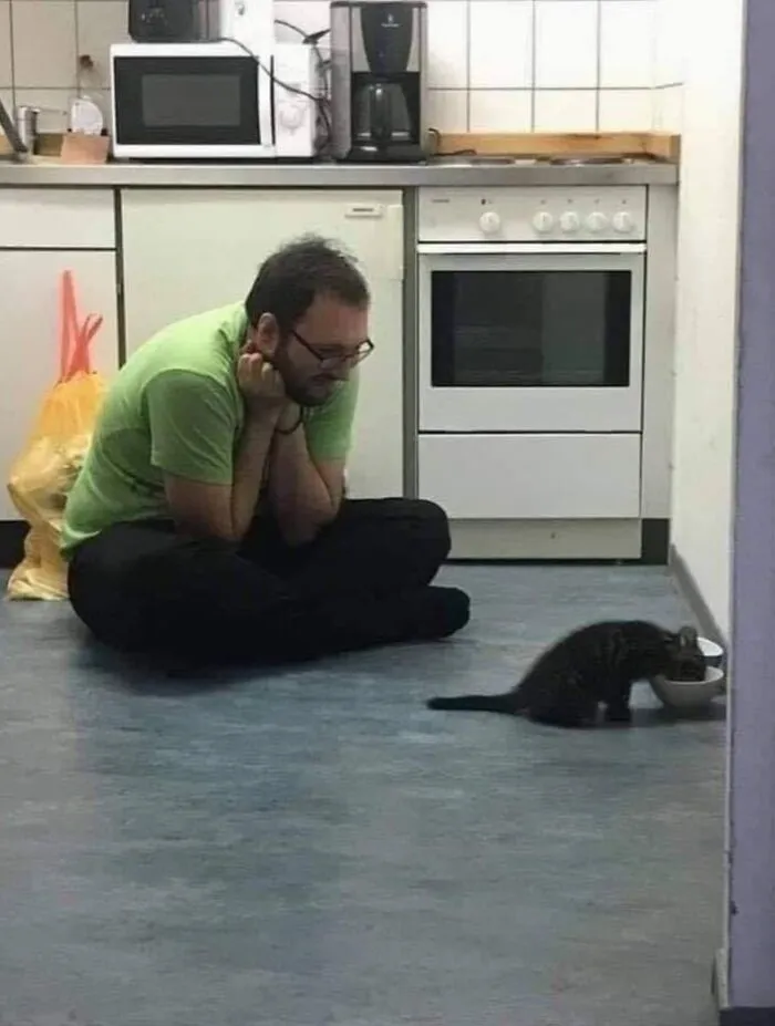 This Page Shared 40 Photos Of Cats Caught In Situations That Often Make No Sense