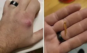 69 Truly Bizarre Things People Had To Take A Photo Of To Make Sure They’re Not Hallucinating (New Pics)