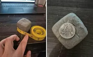 69 Truly Bizarre Things People Had To Take A Photo Of To Make Sure They’re Not Hallucinating (New Pics)