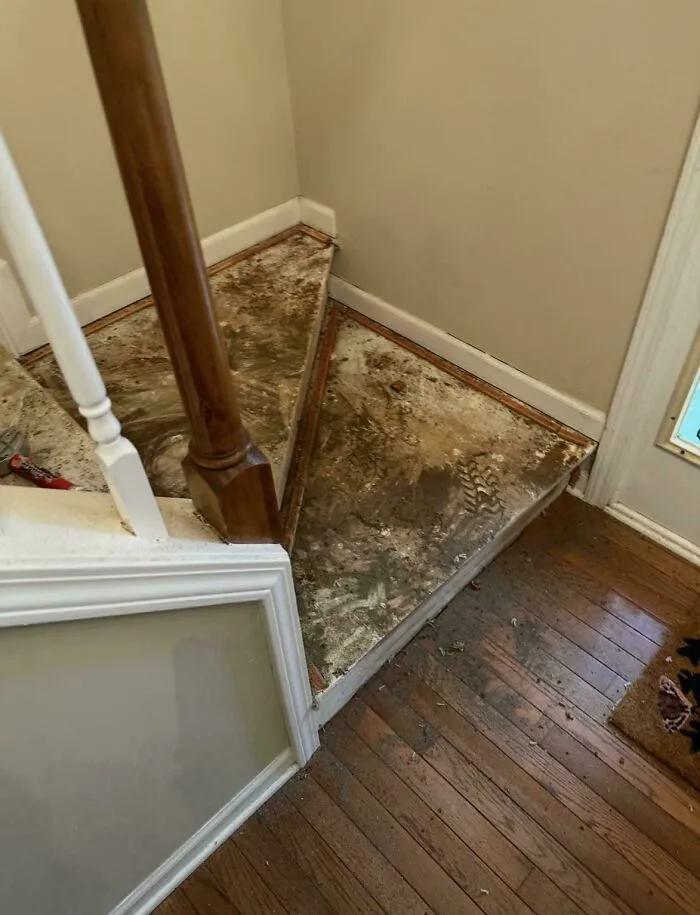 A truly bizarre and dirty corner of a staircase with an unusual triangular step and exposed subfloor.