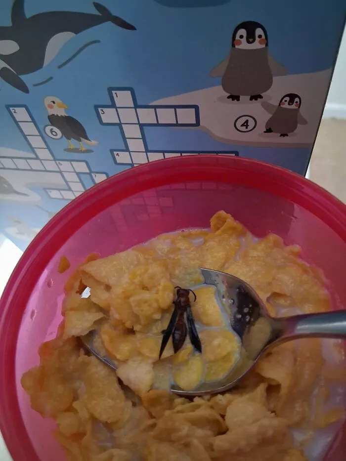 Cereal Prizes Have Gotten Weird. Stay Safe. Scan Before You Scarf