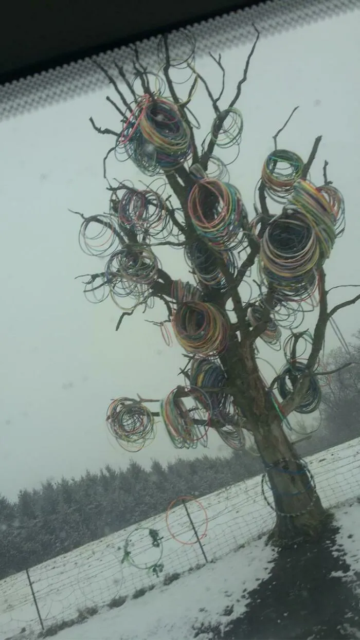 Since People Didn’t Like My Original Text Here The Tree My Mom, Sister And I Saw On Our Road Trip In The Middle Of No Where