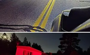 69 Truly Bizarre Things People Had To Take A Photo Of To Make Sure They’re Not Hallucinating (New Pics)