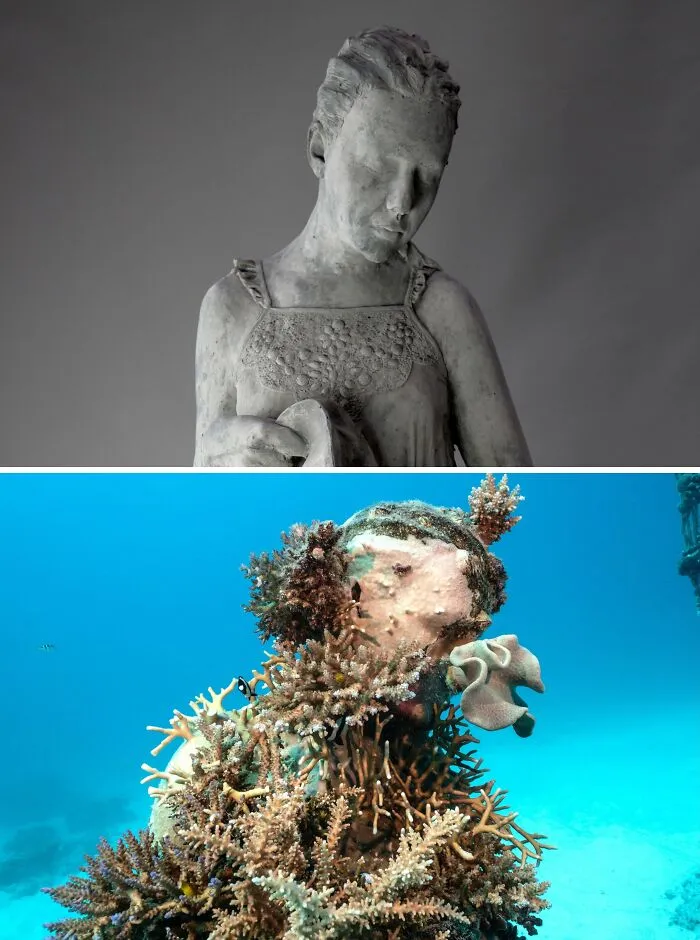 For 20 Years, This Artist Has Been Placing Stunning Sculptures Beneath The Ocean That Support Marine Life (20 New Pics)