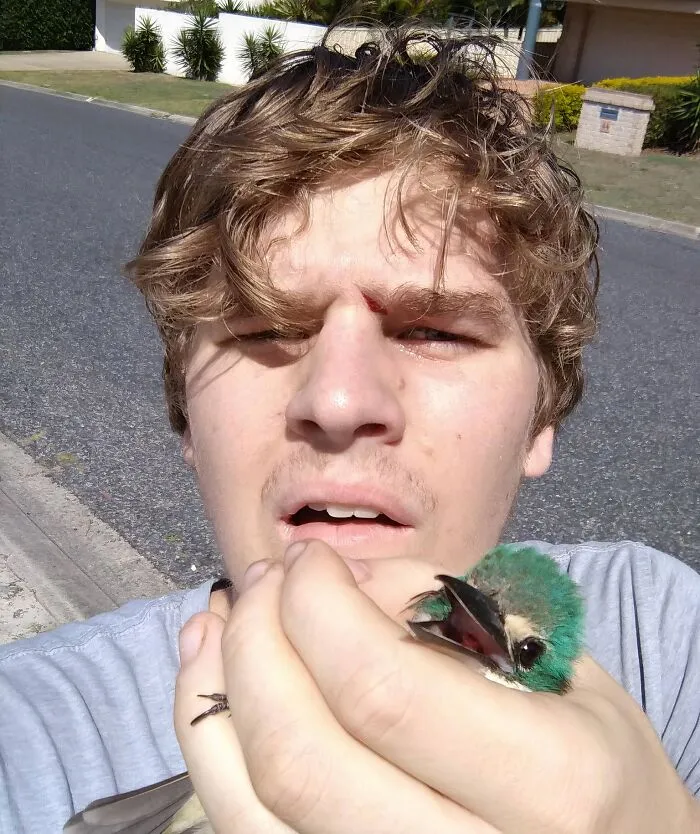Acaba de chocarse volando contra mi ojo y ha caido al suelo