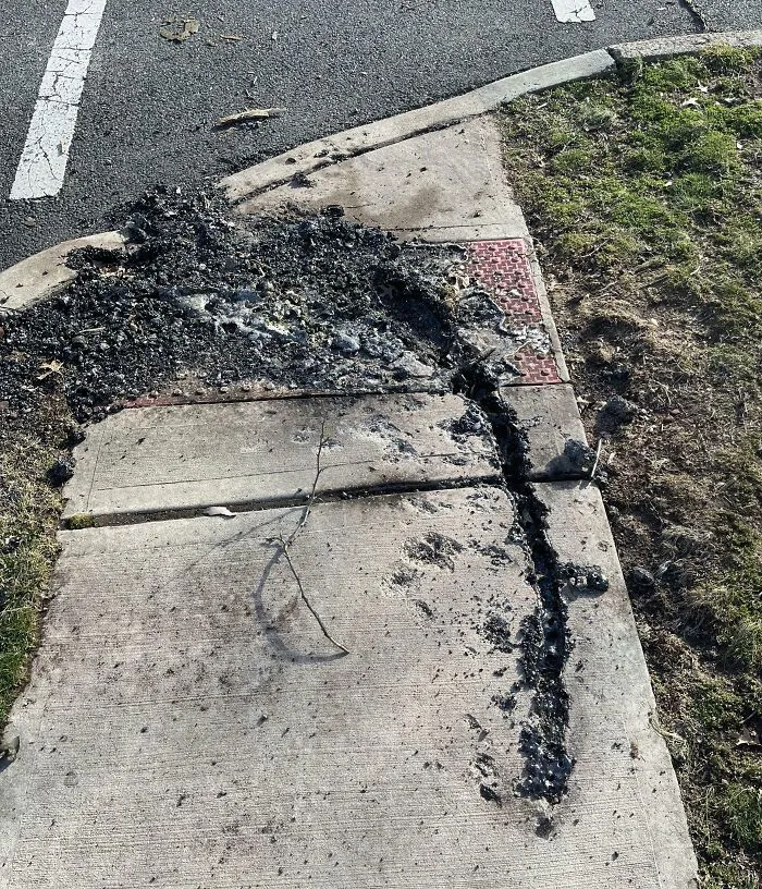 This Is What Happens When High Voltage Lines Touch The Ground