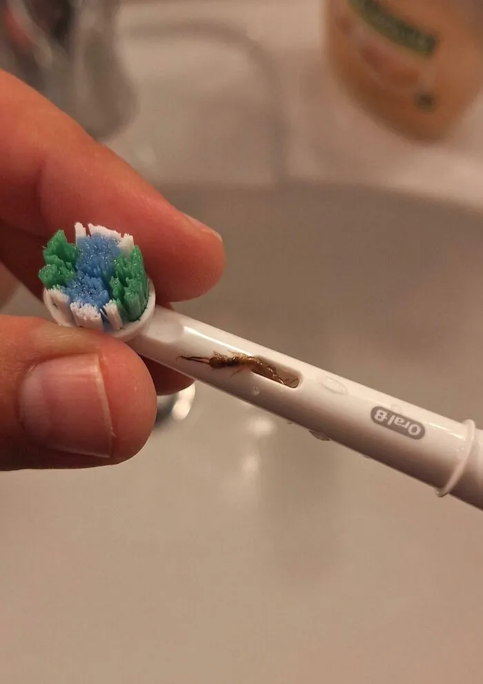 Mi esposa acaba de ver esto tras lavarse los dientes