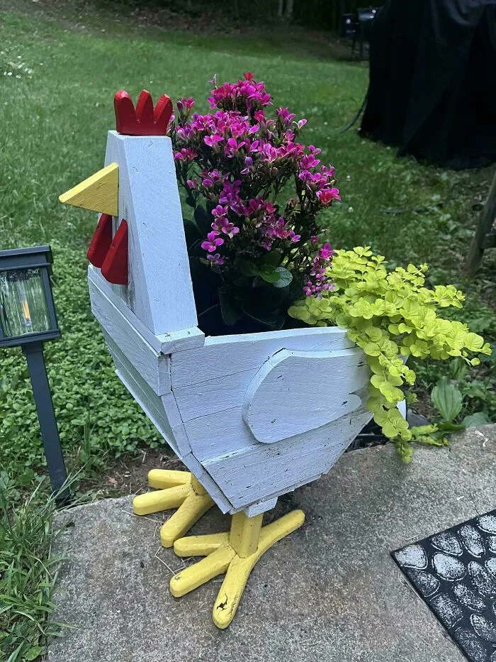 Gerald The Chicken