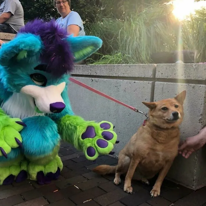 A person in a colorful blue and green furry costume sits next to a brown dog on a leash, an example of unhinged images.