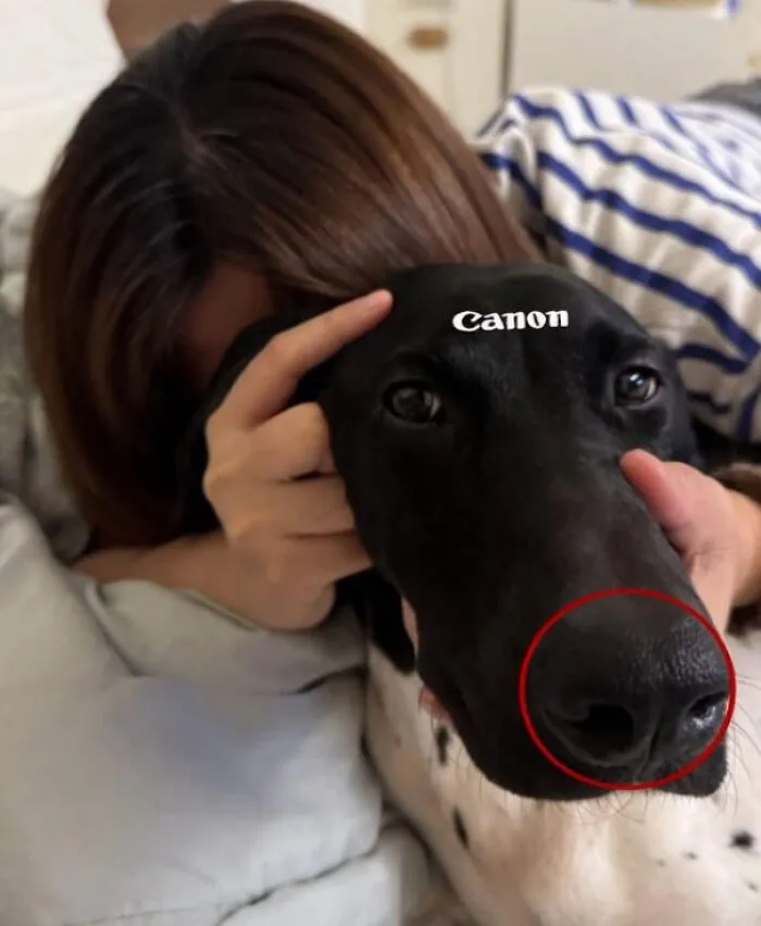 118 Pics That Make You Wonder What Happened Five Seconds Before The Photo Was Taken