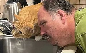 118 Pics That Make You Wonder What Happened Five Seconds Before The Photo Was Taken