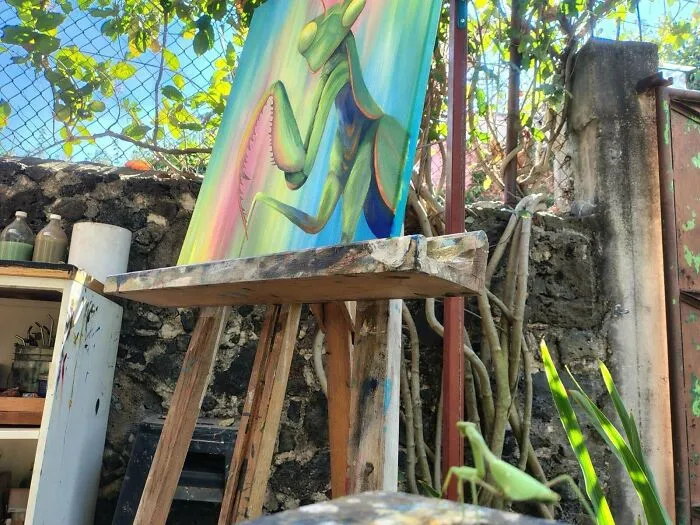 Whilst Painting A Praying Mantis, My Painting Got Visited And Climbed By One!