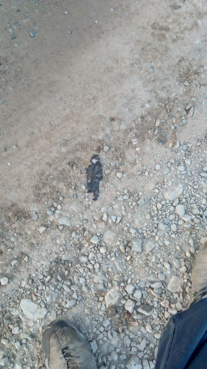 A person's feet on a gravel path, with a dark object on the ground that synced just right.