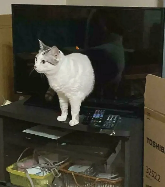 I Think She Entered The Wrong Timeline