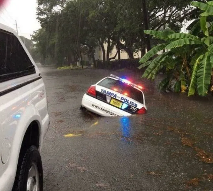 A Tampa police car partially submerged in floodwater, creating an unhinged image.