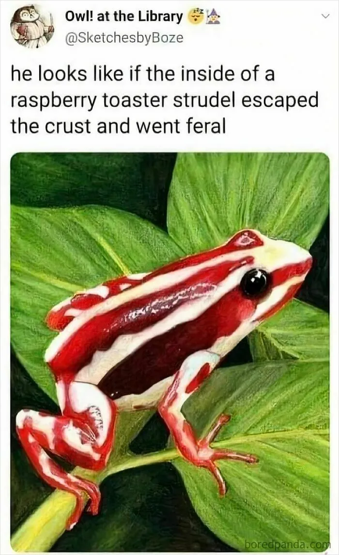 Forbidden Strawberry Saver