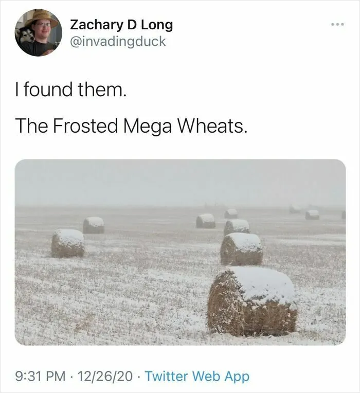 I Always Knew They Had To Be Out There