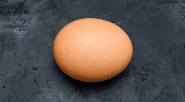 A single brown egg sits on a dark, textured surface, representing a key ingredient for General Knowledge Quiz answers about Scotch eggs.