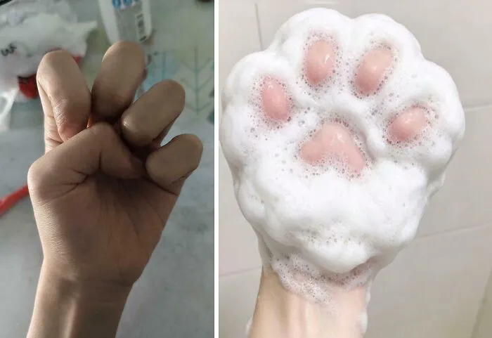 118 Pics That Make You Wonder What Happened Five Seconds Before The Photo Was Taken