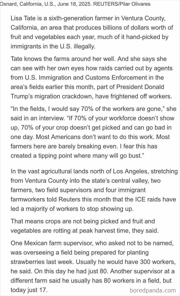 Weirdly, American Crops Are Not Being Picked By Americans After Immigrant Workforce Suddenly “Doesn’t Show Up” For Some Odd Reason