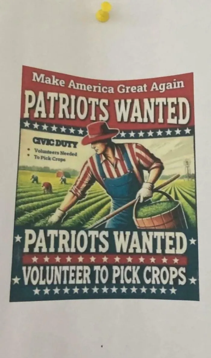 Volunteer Crop Pickers Wanted In Small-Town Iowa