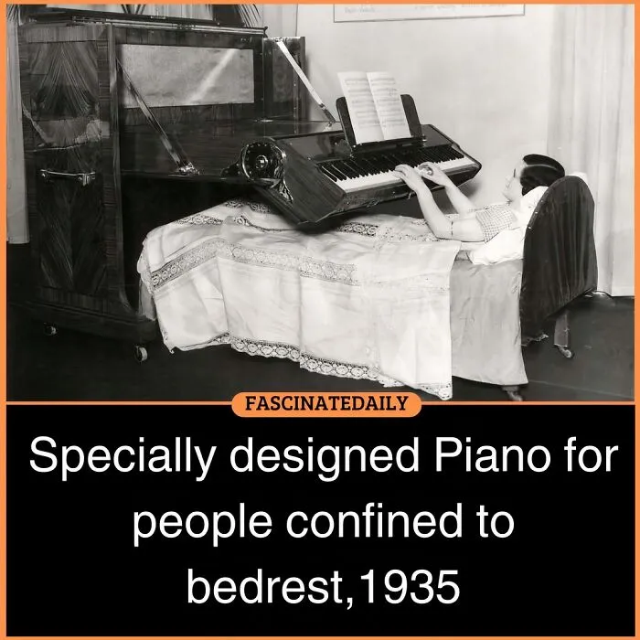 If You Can’t End Your Day Without Learning Something New, Here Are 68 Interesting Facts