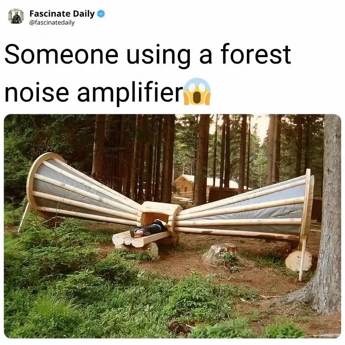 Large wooden forest noise amplifier in a woodland setting