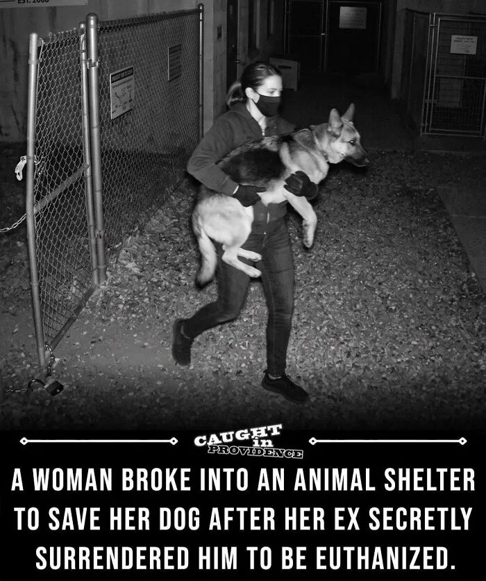 The Morality Of Breaking Into A Building And Private Property To Rescue A Dog That Was Going To Be Euthanized?