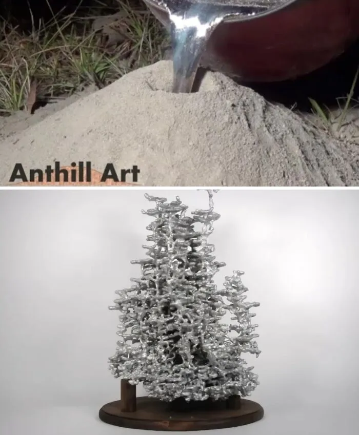Morality Of Pouring Molten Metal Into Anthill To Create An Art?