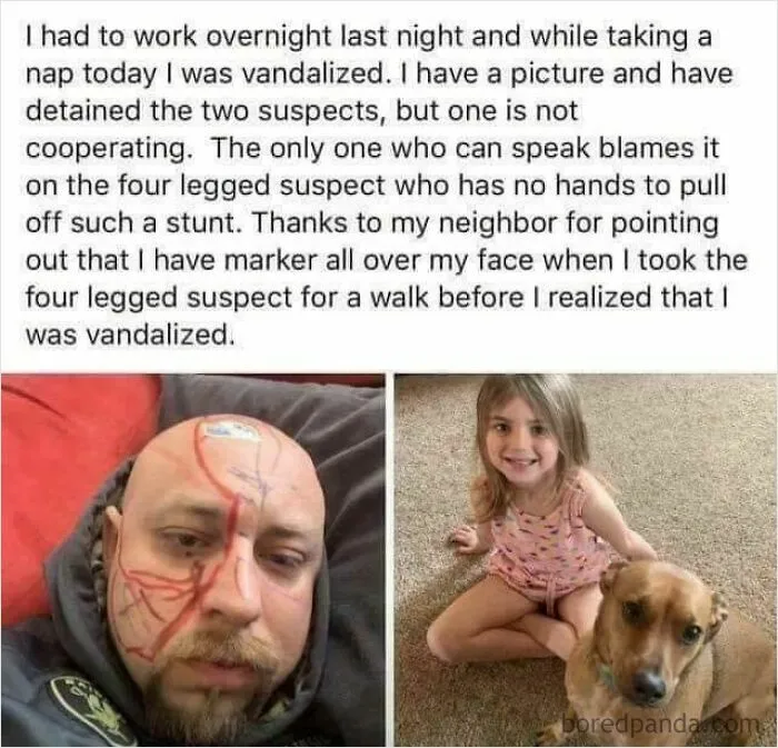 Blaming On A Doggo. Heckin Bamboozled
