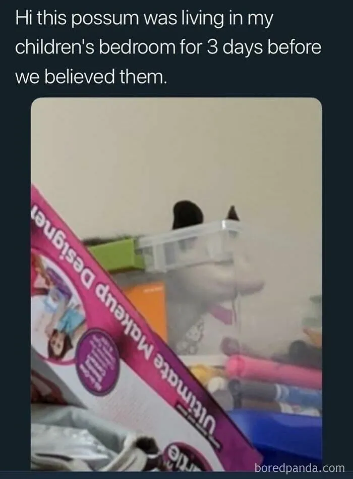 Kids Say The Darndest Things