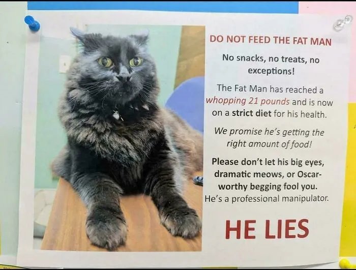 Do Not Feed The Fat Man