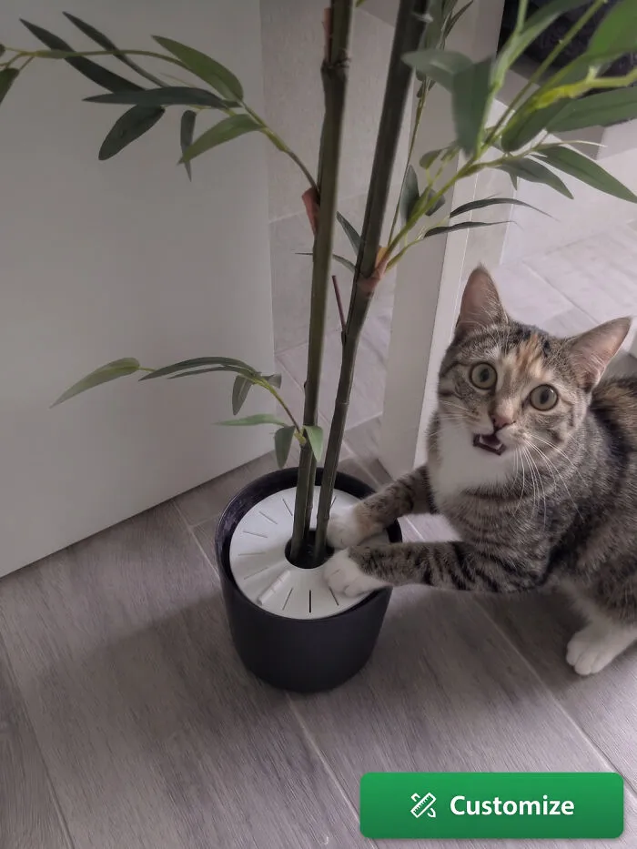 Parametric Plant Protector
