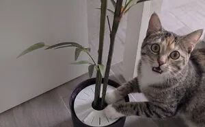 87 Examples Of What Happens When You Give Creative People A 3D Printer