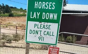 89 Ridiculously Funny Signs That Deliver Maximum Entertainment As They’re So Random