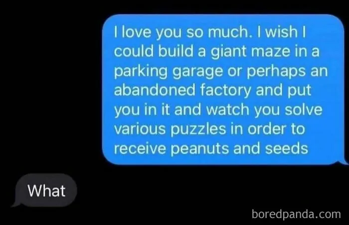 Quirky Memes For Anyone Fluent In Sarcasm And Unhinged Humor