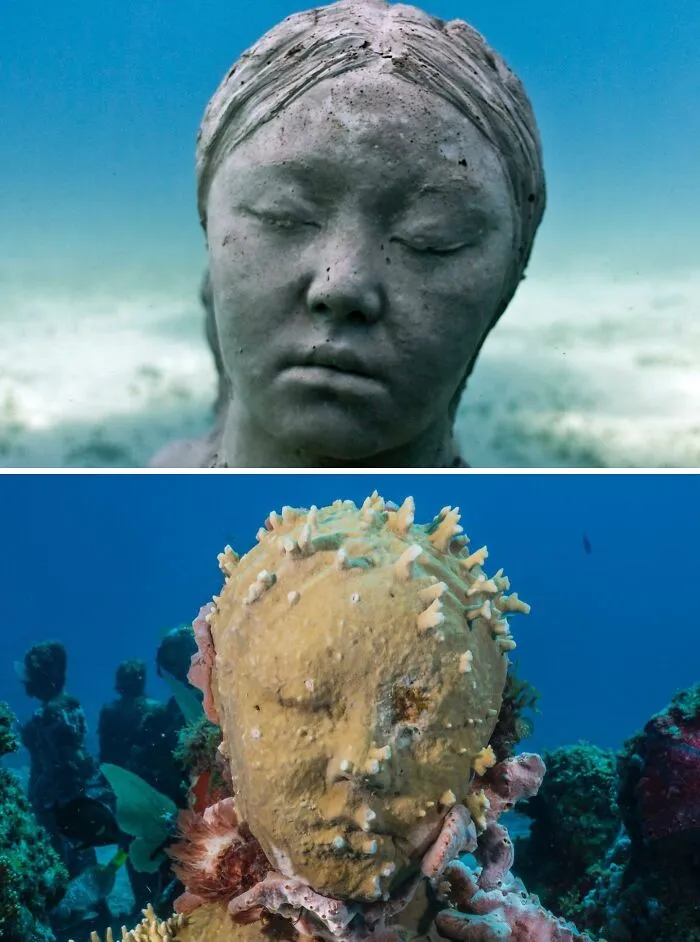 For 20 Years, This Artist Has Been Placing Stunning Sculptures Beneath The Ocean That Support Marine Life (20 New Pics)