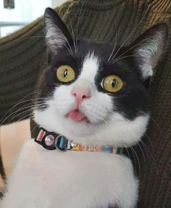 My Boy Lil John Might Belong To This Sub