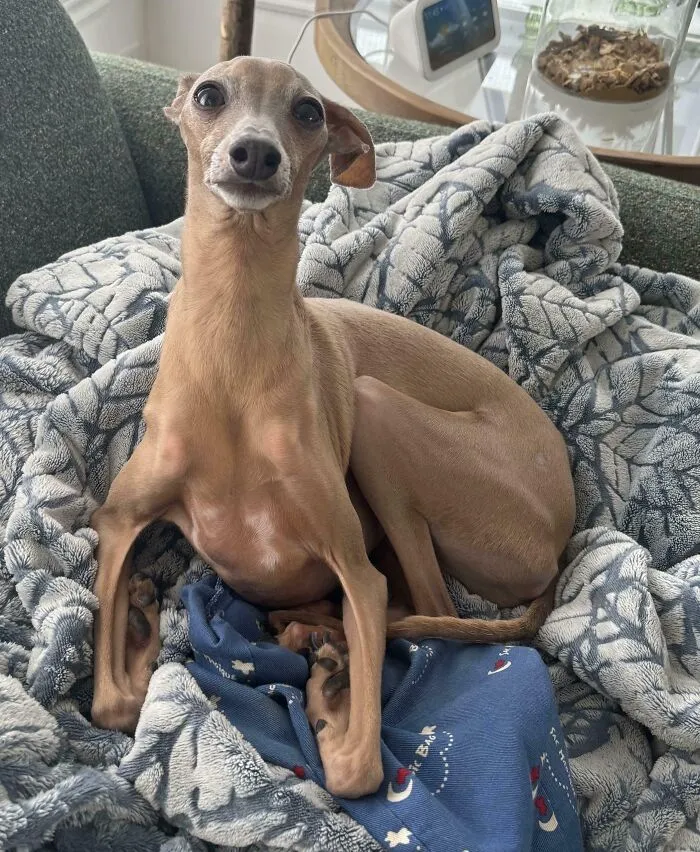 My Boy And His Long Legs