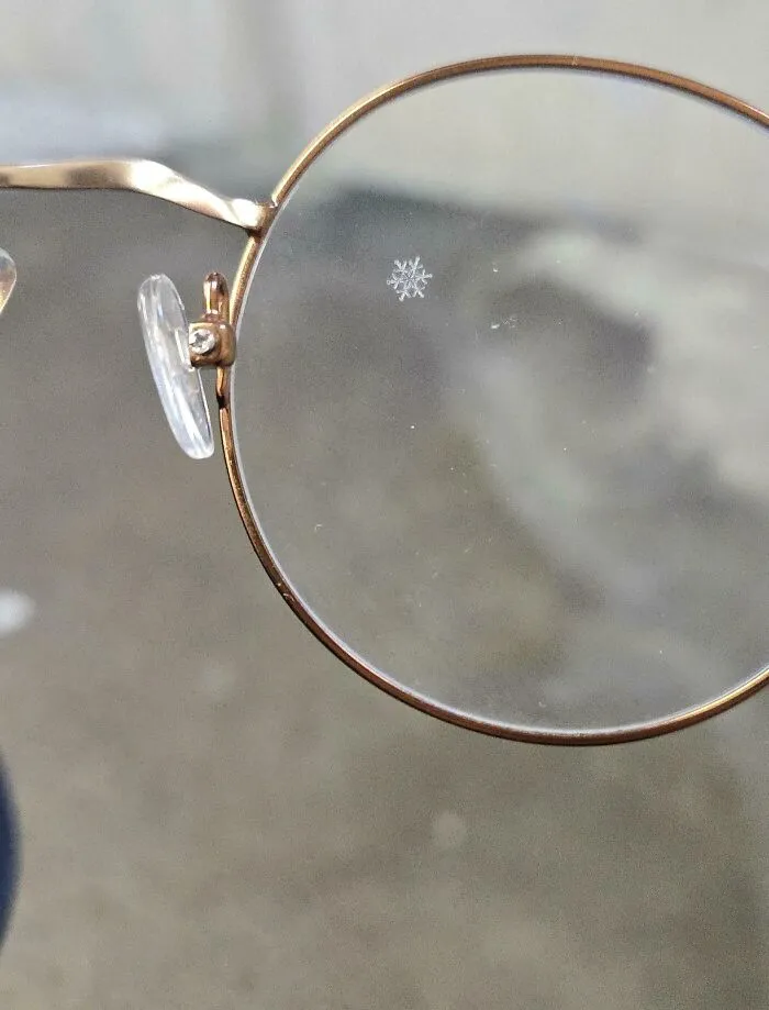 A Single Perfect Snowflake Landed On My Glasses On My Way To Work