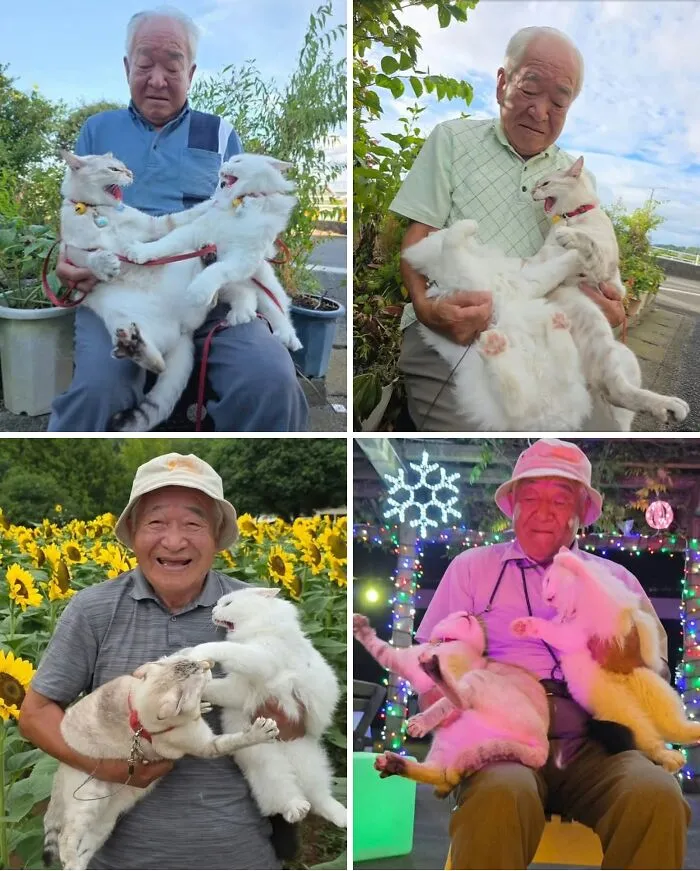 This Old Man From Japan Likes To Take Pictures Of His Two Cats Near Beautiful Places, But In Many Pictures There Must Be A Scene Where They Are Scratching Each Other