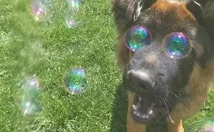 100 Photos People Are Glad They Took, As Nobody Would’ve Believed Their Word 