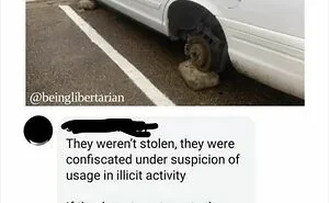 56 Chaotic Good Acts That Were Equal Parts Mischievous And Magnificent