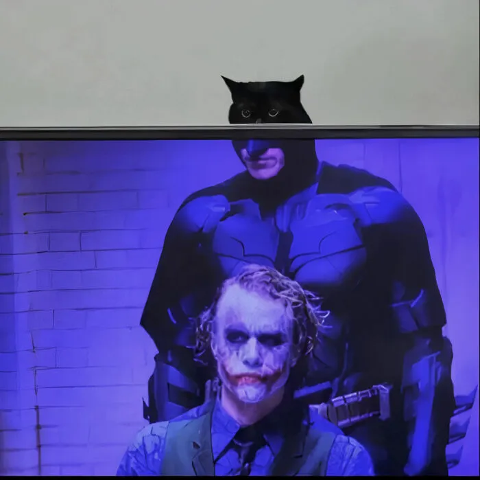 The Dark Paw