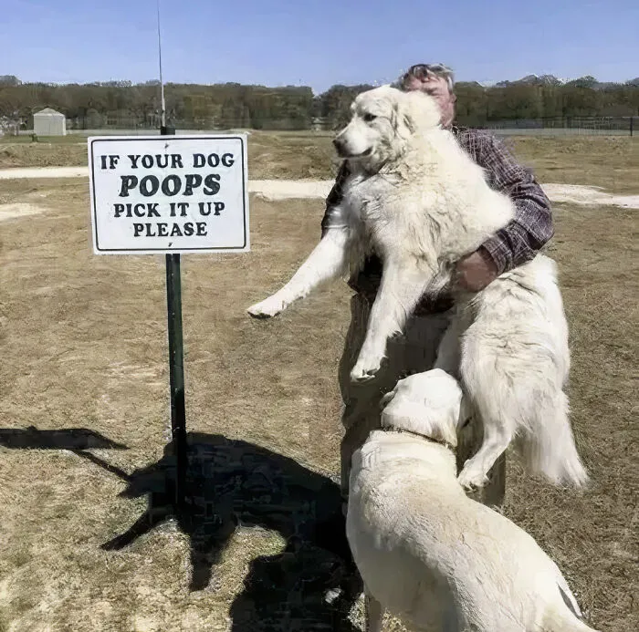 Compliant