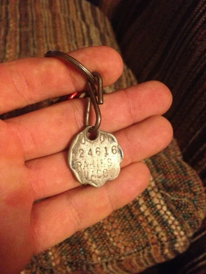 Said Goodbye To My Best Friend After 13 Years. This Is Is Vaccination Tag All Worn Down After A Lifetime Of Tinking Against His Water Bowl. Rip Little Man