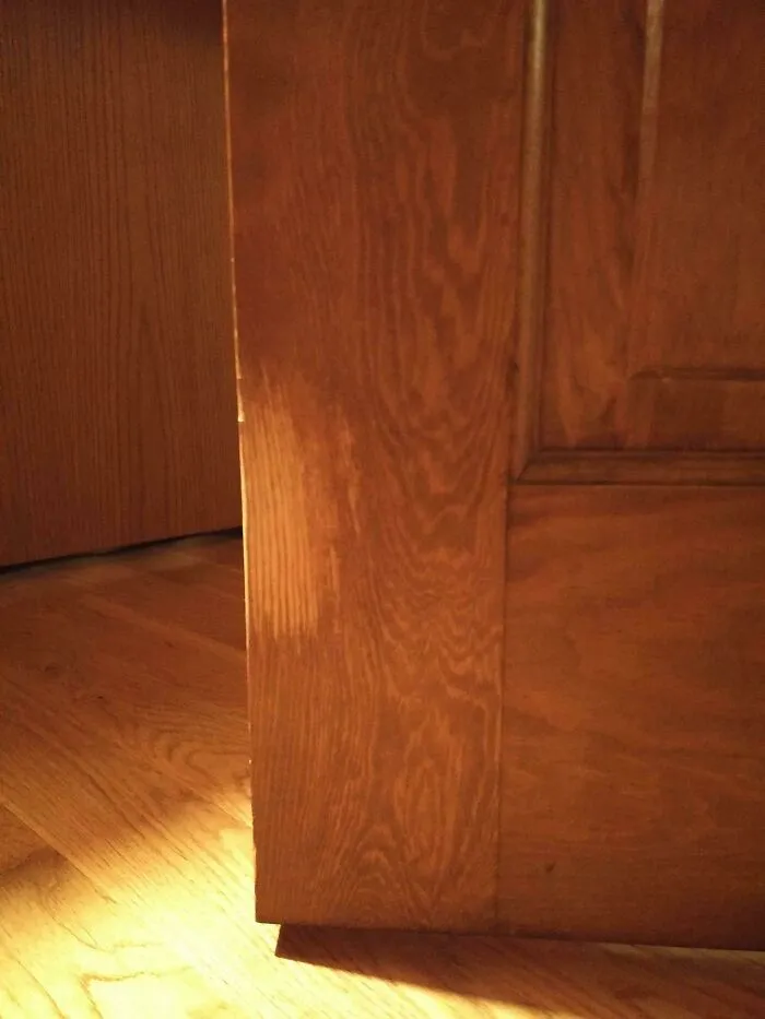 12 Years Of My Dog Using Her Paw To Open The Door