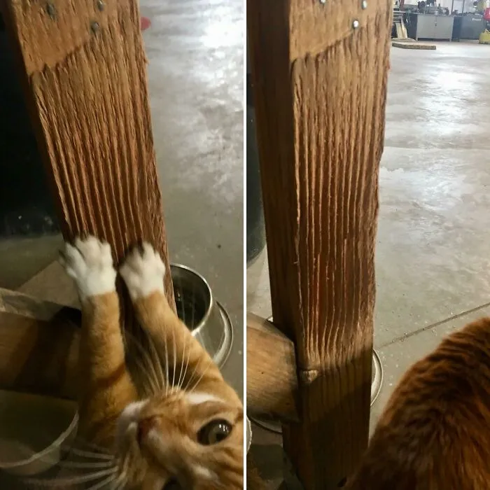 14 Years Of Scratches