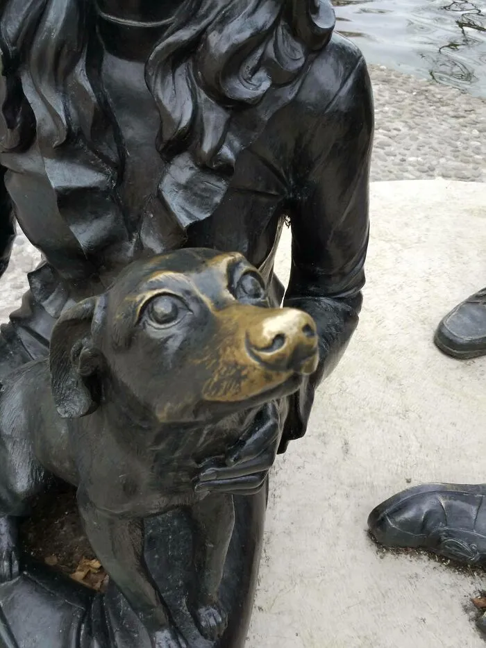 For A Lot Of People, He Is A Good Boi